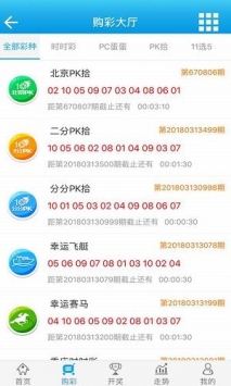 2024澳门王中王100%期期中,状况评估解析_阳之神衹GJY624.68