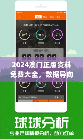 2024新澳门正版免费资木车,高效管理解答解释现象_生存版4.647