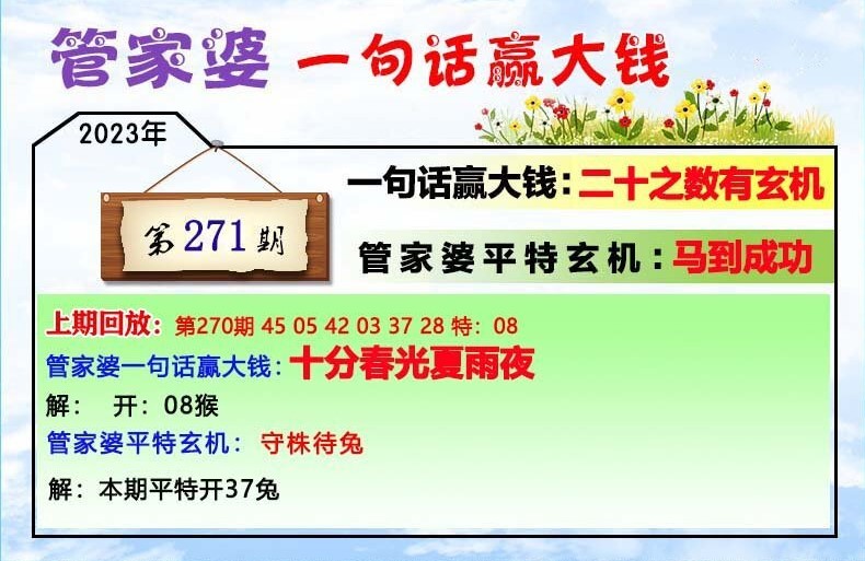 管家婆一肖一码中100%命中,时代解析说明_效率集20.662